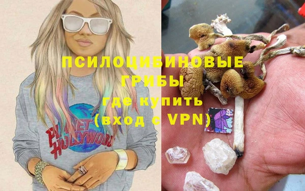 гидра Алексин