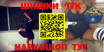 крисы Можга