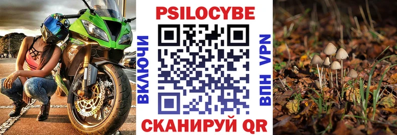 Галлюциногенные грибы мухоморы  Новоалександровск 