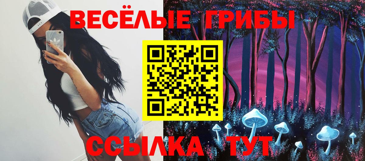 Галлюциногенные грибы Cubensis Новоалександровск