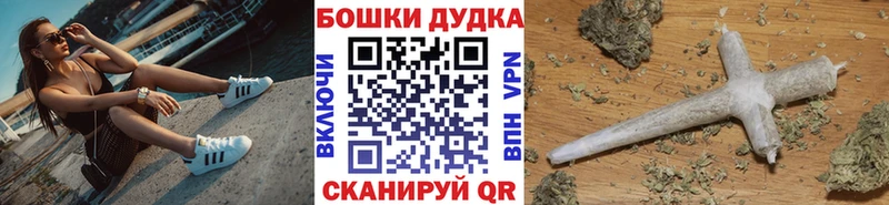 Бошки Шишки Amnesia  где можно купить   мега маркетплейс  Новоалександровск 